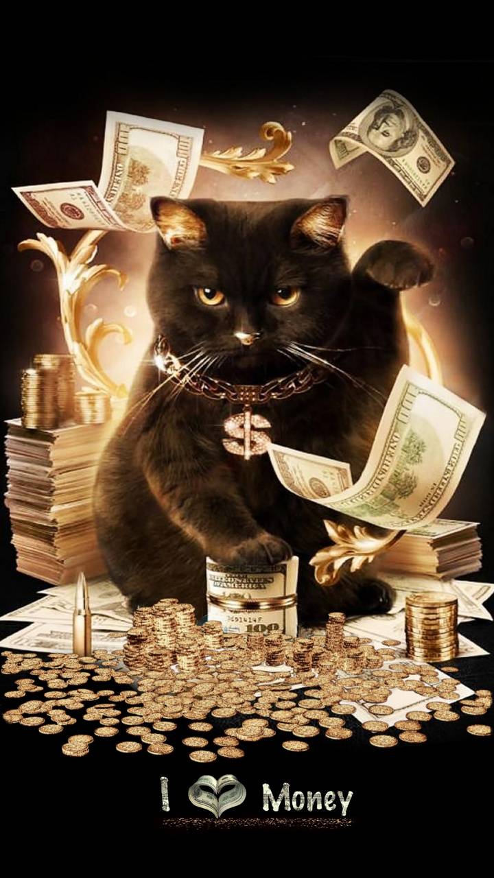 Money Cat Wallpaper, HD Money Cat Background on WallpaperBat
