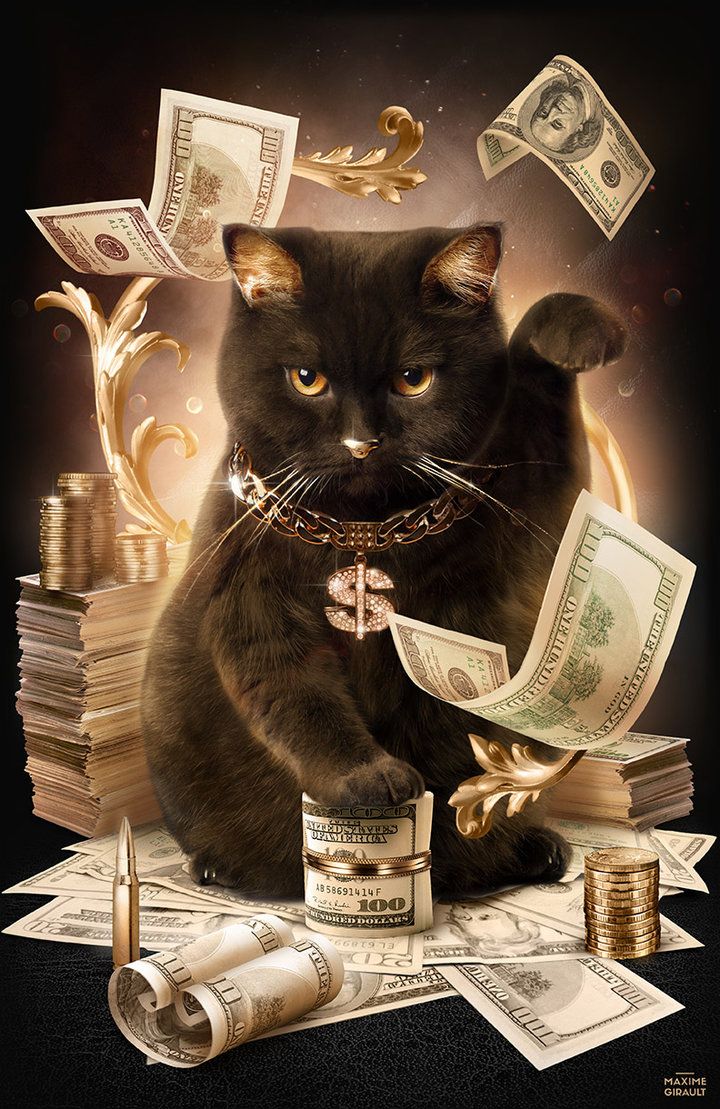 Fortune Cash Cat. Money cat, Cat painting, Cats