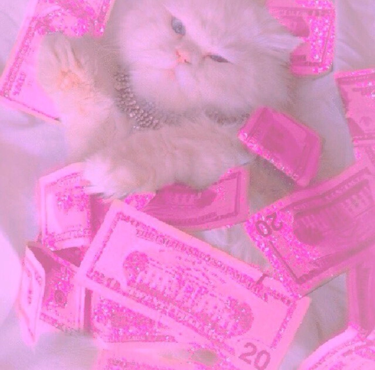 Pink! Money cat. Tatuagem da barbie, Papel de parede cor de rosa, Papel de parede rosa