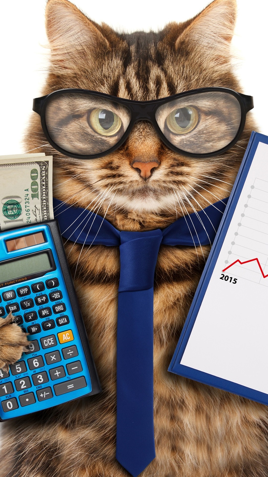 Funny Animals, Cat, Glasses, Tie, Calculator, Money, Accountant 1080x1920 IPhone 8 7 6 6S Plus Wallpaper, Background, Picture, Image