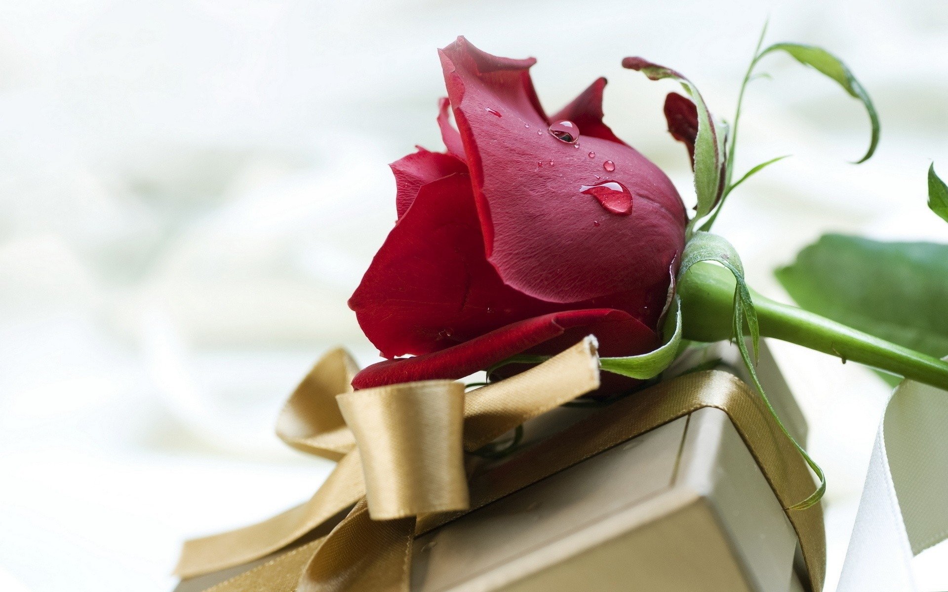Gift HD Wallpaper and Background