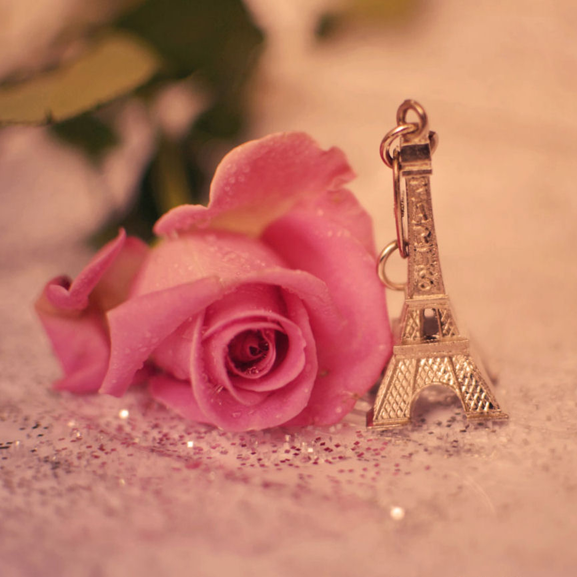 Wallpaper. Beautiful picture. photo. picture. Eiffel tower, keychain, souvenir, rose, vintage