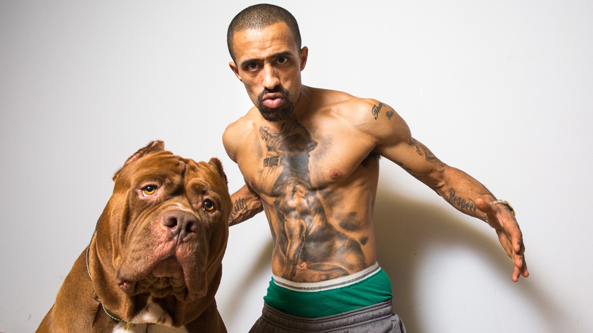 Hulk Ink World's Biggest Pitbull Tattoo