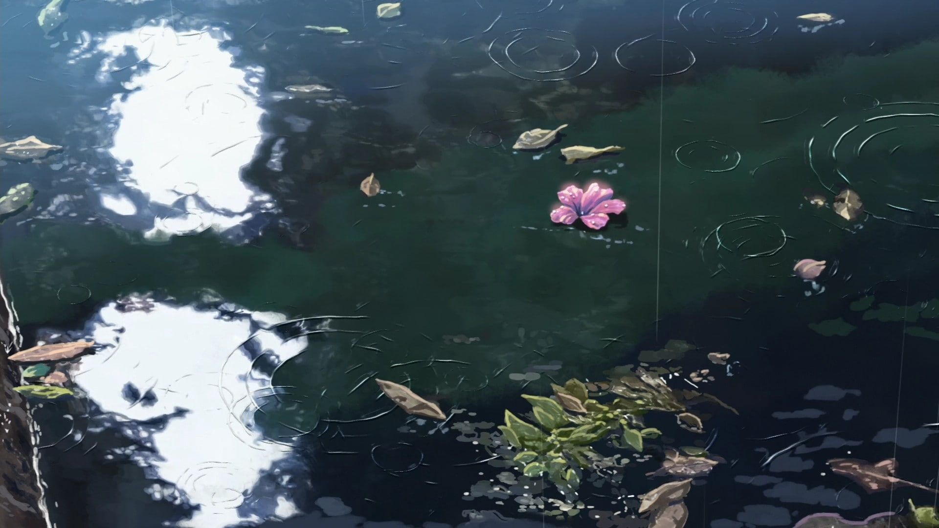 The Garden of Words #water #flowers Makoto Shinkai #sunlight #rain P # wallpaper #hdwallpaper #desk. Garden of words, Anime scenery wallpaper, Aesthetic anime