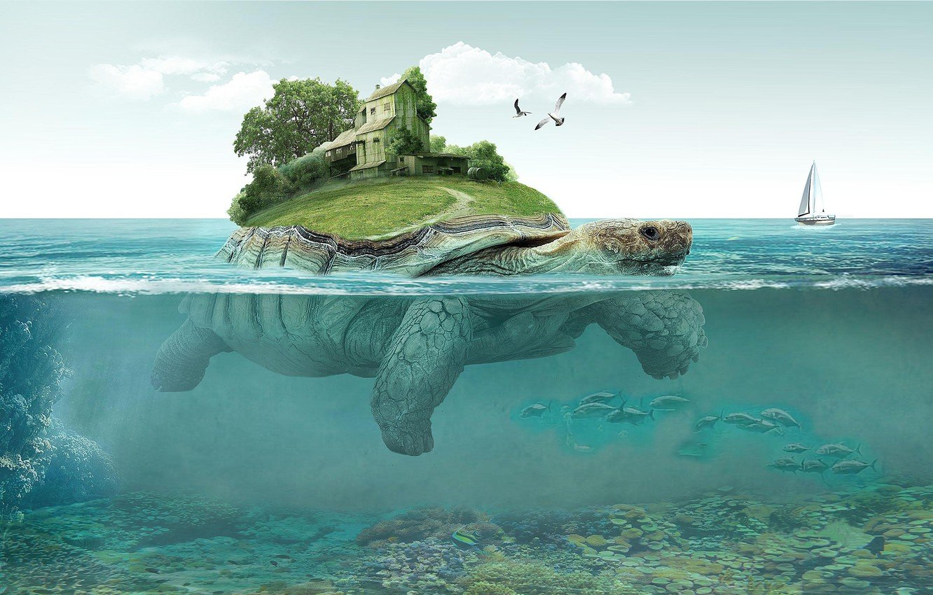 Turtle Art Wallpapers - Wallpaper Cave