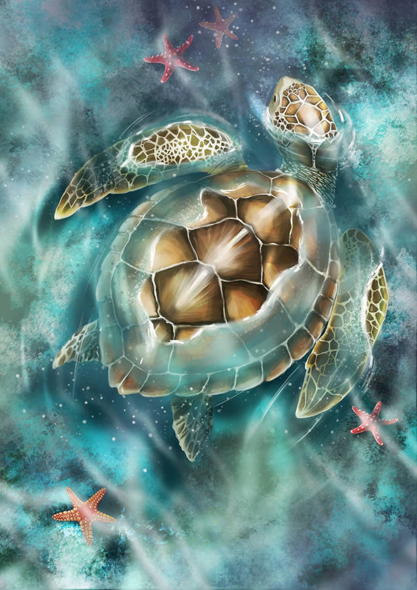 Download Turtle Vector Art Wallpaper
