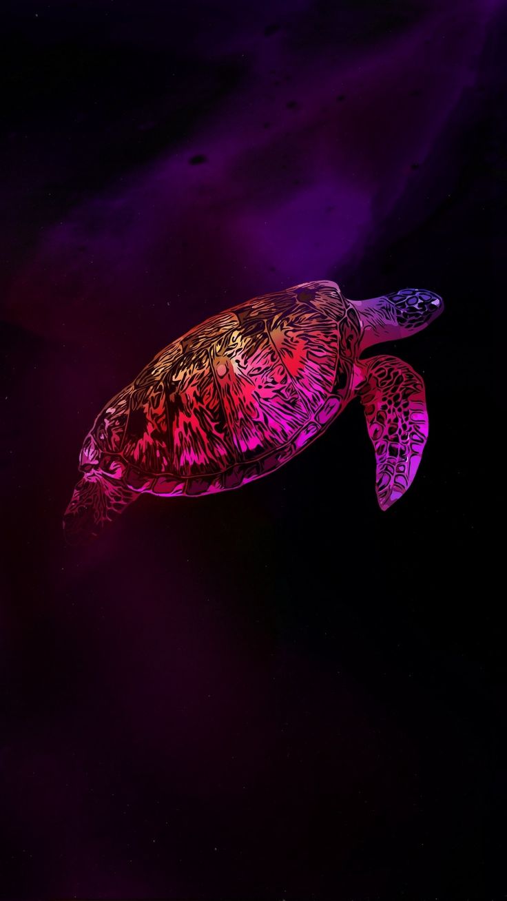 favs. Sea turtle wallpaper, Turtle wallpaper, Sea turtle art