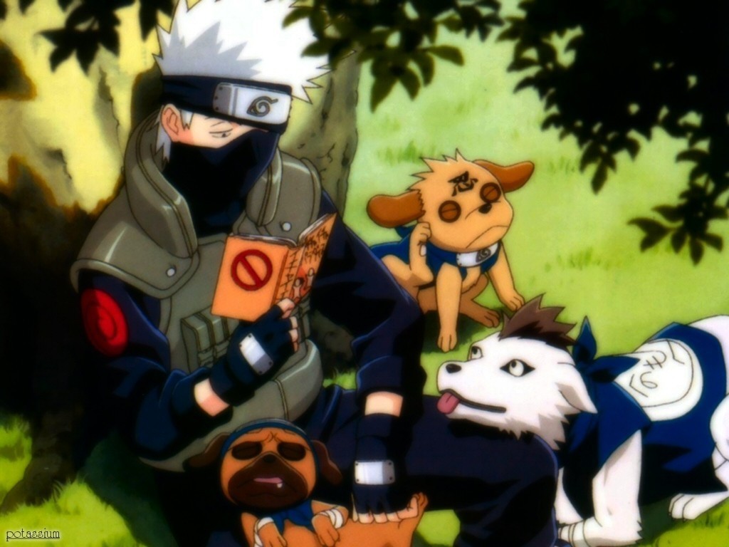 Kakashi and his dogs