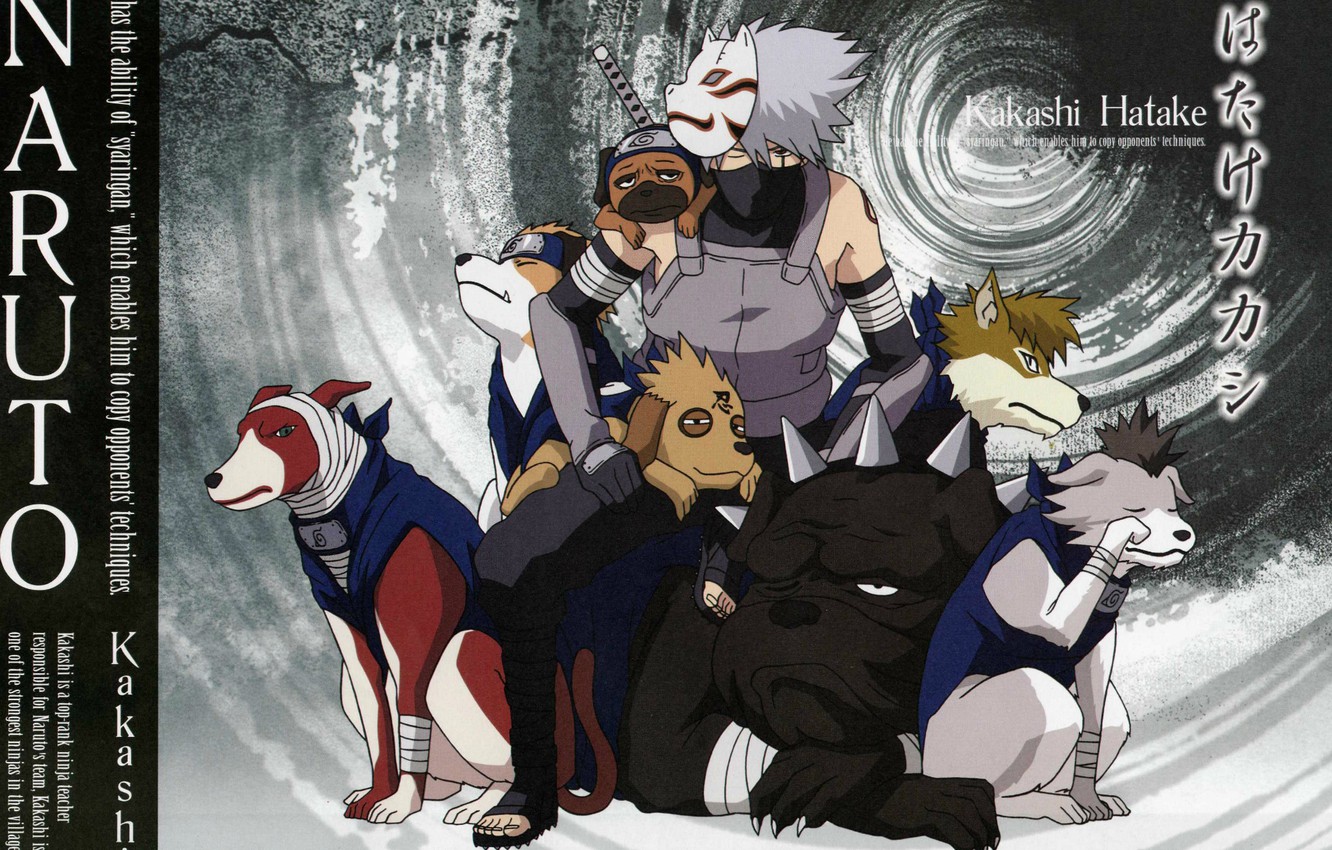 Wallpaper dogs, katana, mask, Naruto, bandages, ninja, sensei, Kakashi Hatake, Pakkun, Naruto shippuuden, ANBU image for desktop, section сёнэн