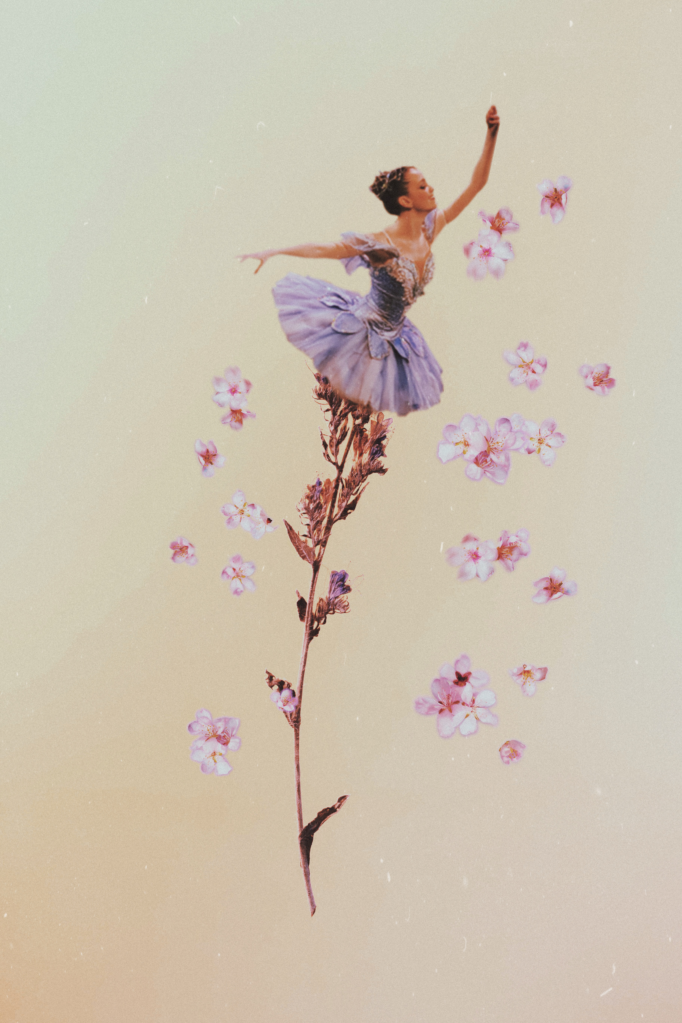 ballerina ballet flowers girl 344938585029201