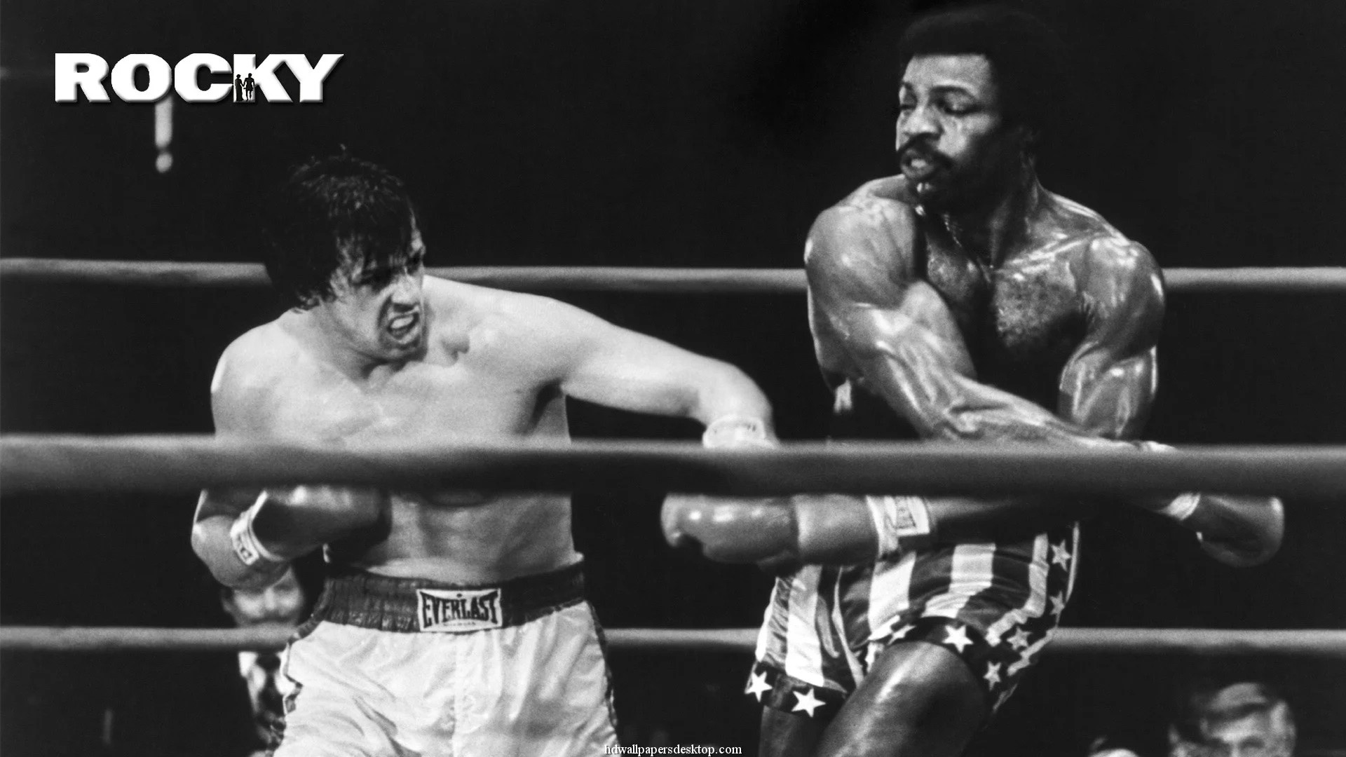 Rocky Balboa Wallpaper