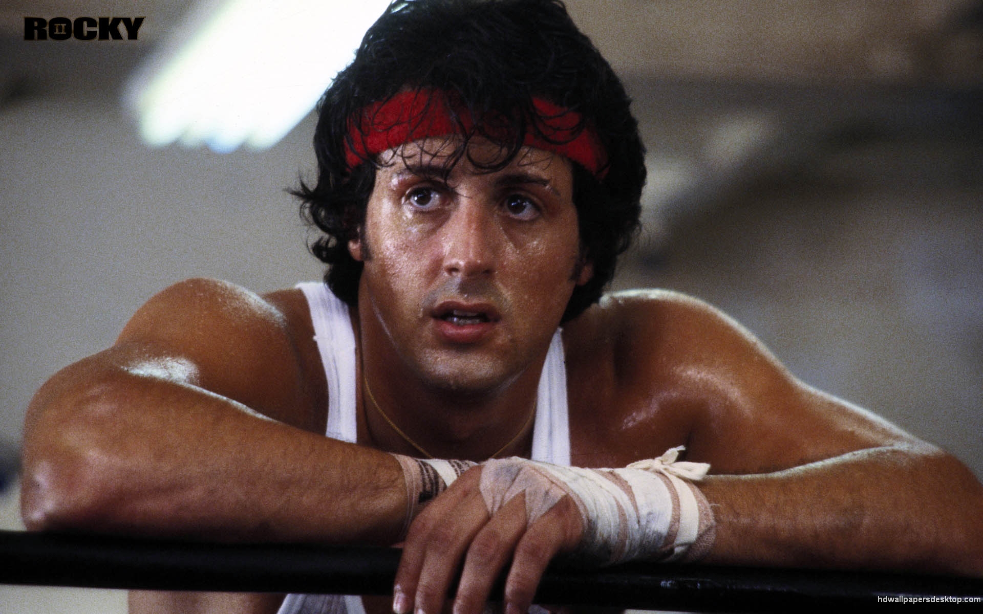 Free download Rocky Wallpaper HD Movie Desktop Wallpaper 1920x1200 [1920x1200] for your Desktop, Mobile & Tablet. Explore Rocky HD Wallpaper. Rocky Wallpaper, Rocky Balboa Wallpaper, Rocky Mountain National Park Wallpaper