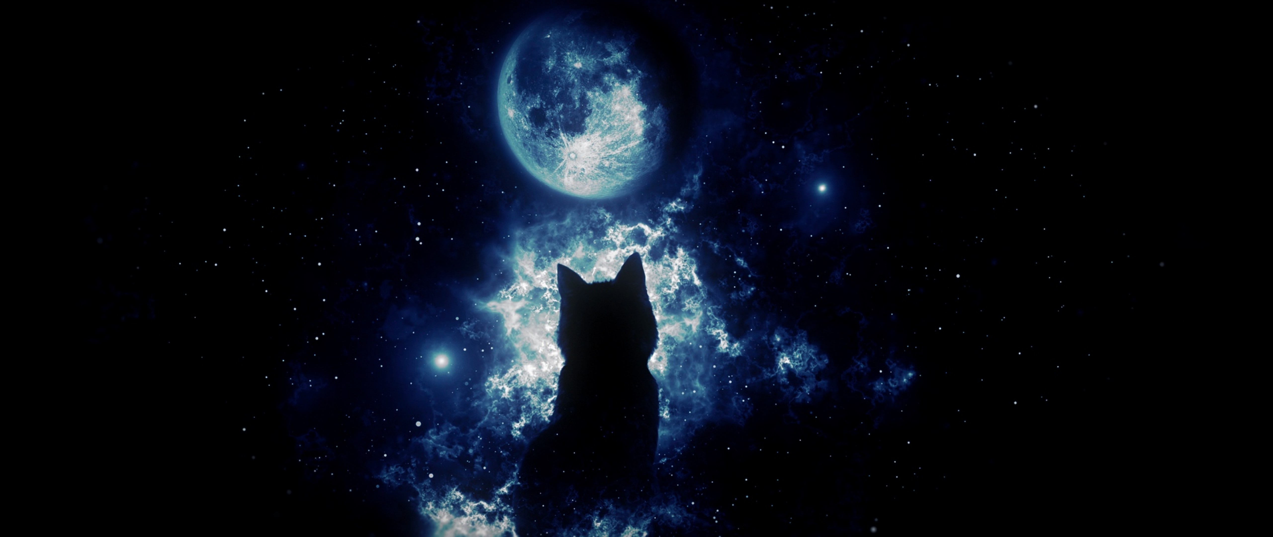 Anime cat staring at the moon HD Wallpaper 4K Ultra HD Wide TV