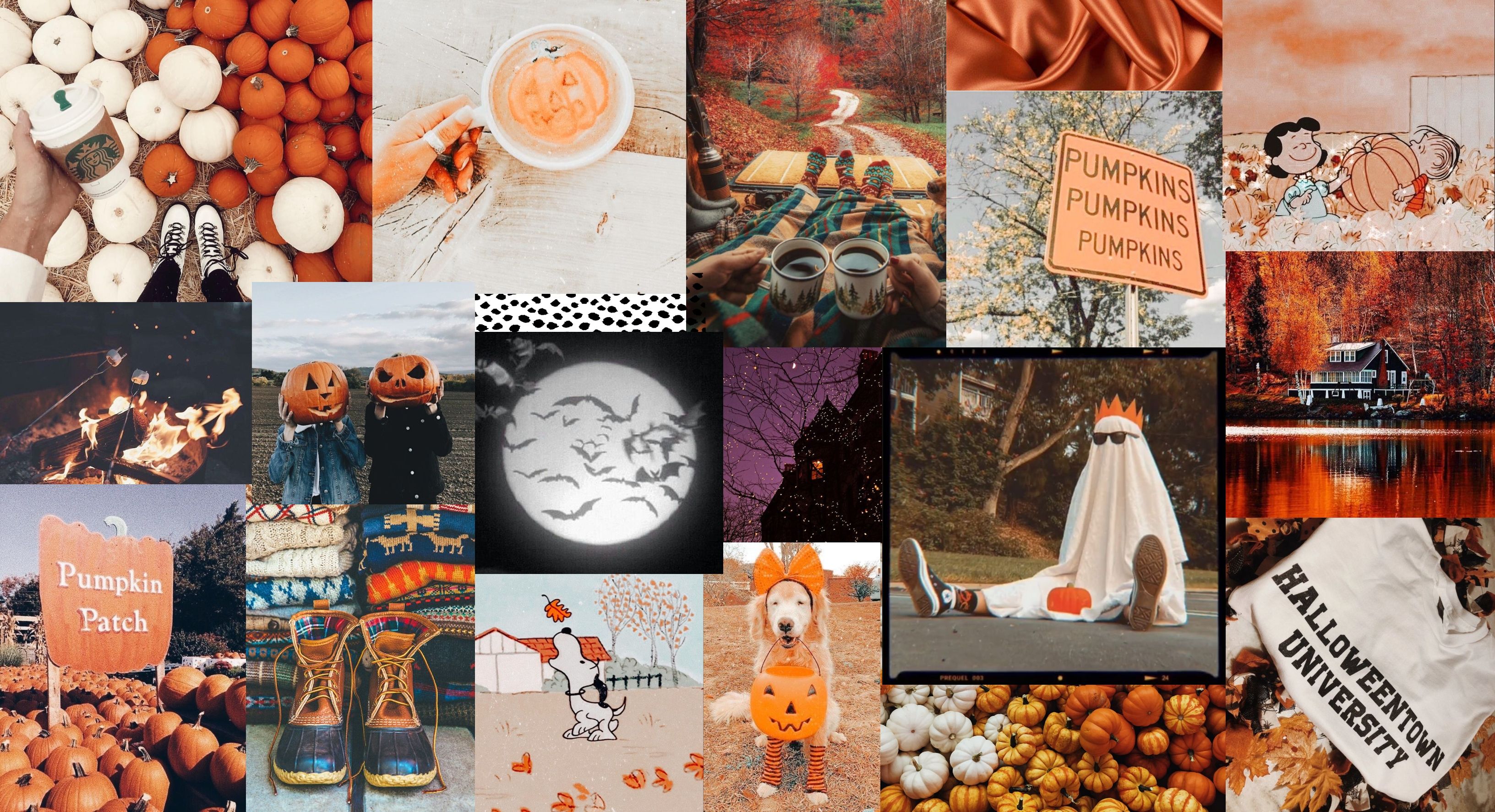 spooky desktop wallpaper. Halloween desktop wallpaper, Cute fall wallpaper, Winter wallpaper