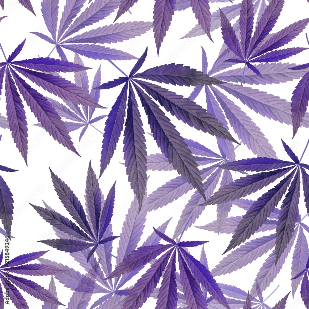 purple leaves on white Background. Seamless pattern with Marijuana, weed, dope. Textile, Wallpaper concept Stock Illustration