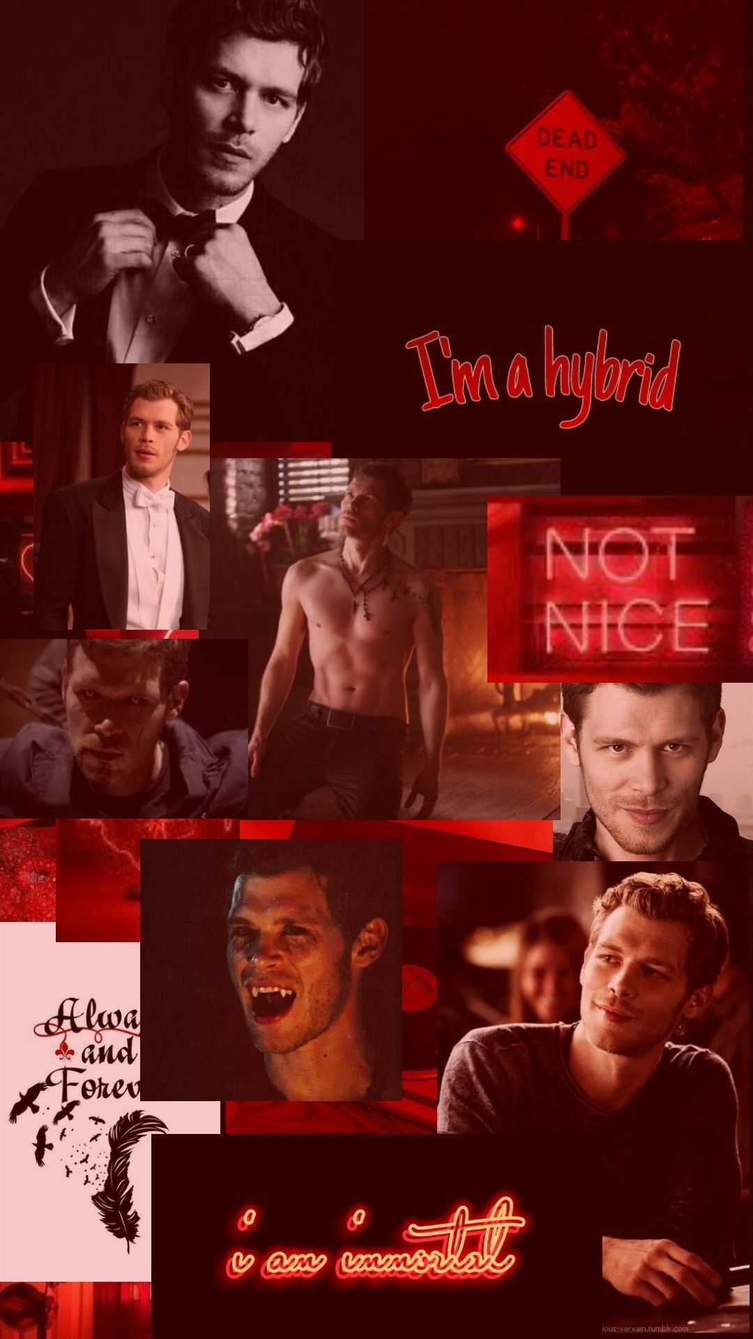 Klaus Mikaelson Hybrid Wallpaper Free Klaus Mikaelson Hybrid Background