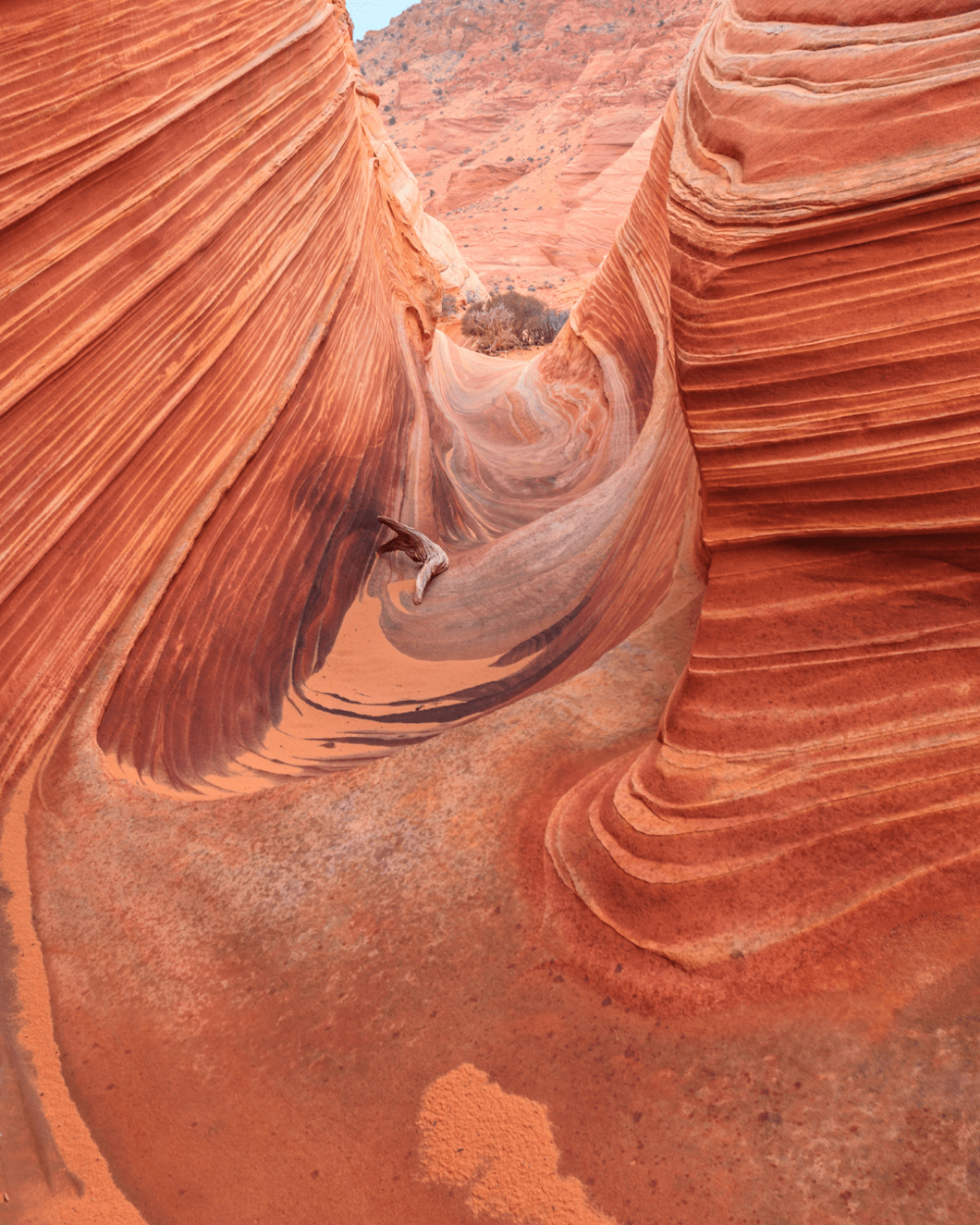 The Wave in Vermilion Cliffs National Monument. National monuments, Monument, Waves