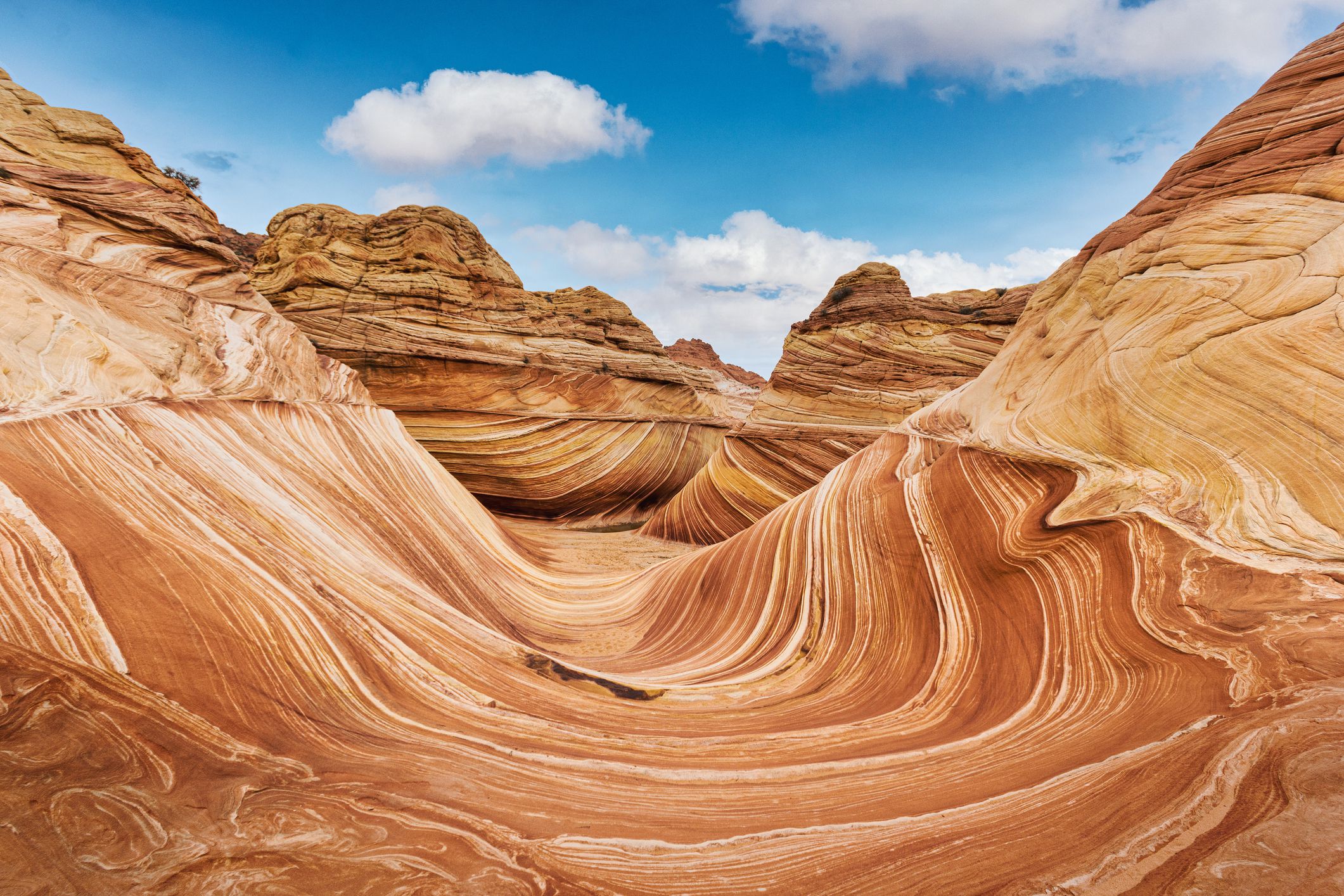 Vermilion Cliffs National Monument: The Complete Guide