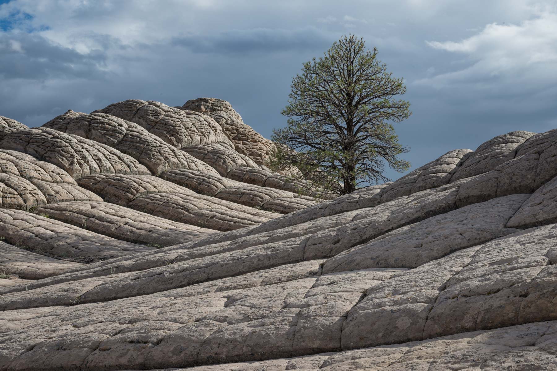 The White Pocket Cliffs National Monument