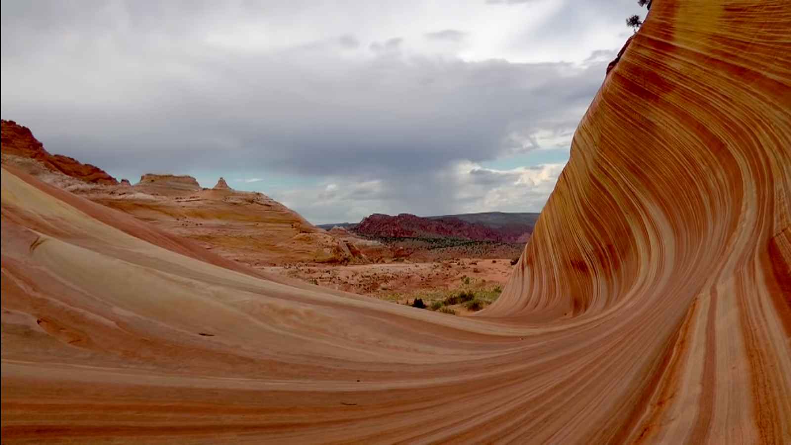Trek The Wave in Vermilion Cliffs National Monument, Arizona this year Meets Traveler
