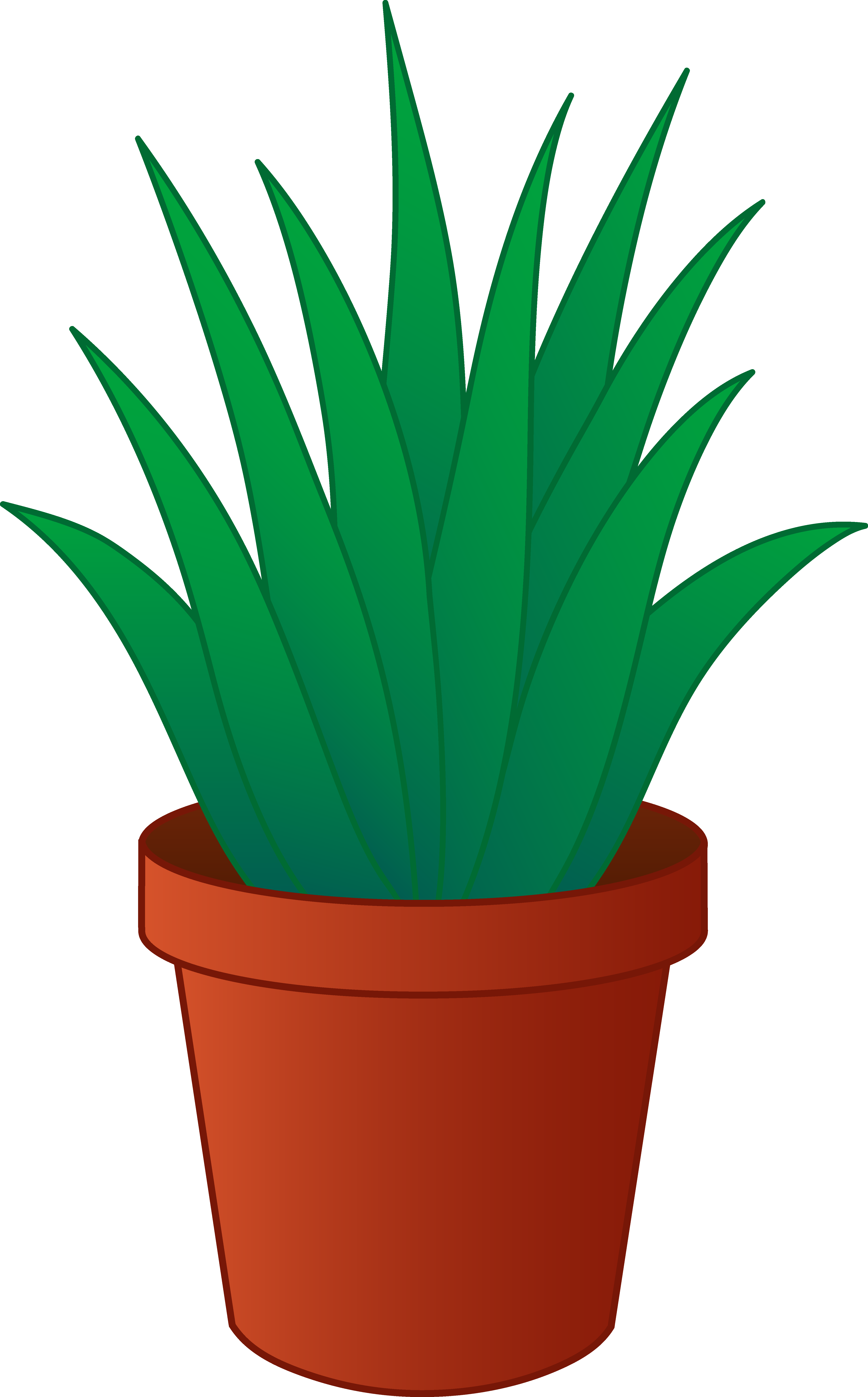 Plants In Cartoon