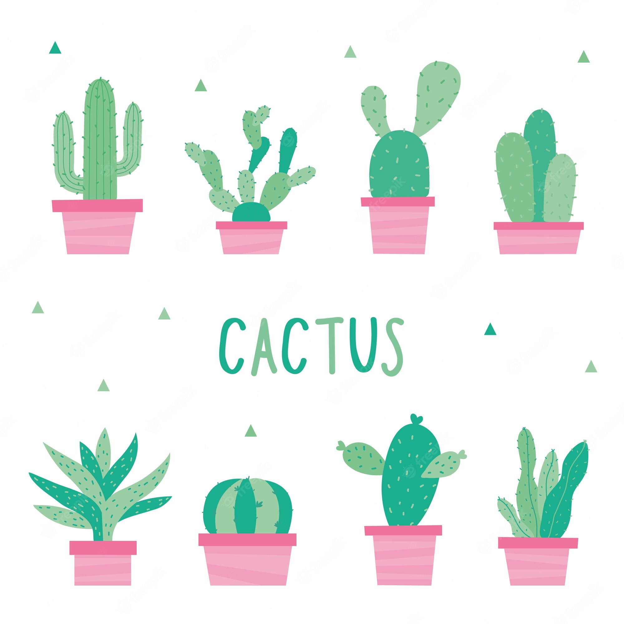 Premium Vector. Cactus plants pot flower prickle cartoon vector