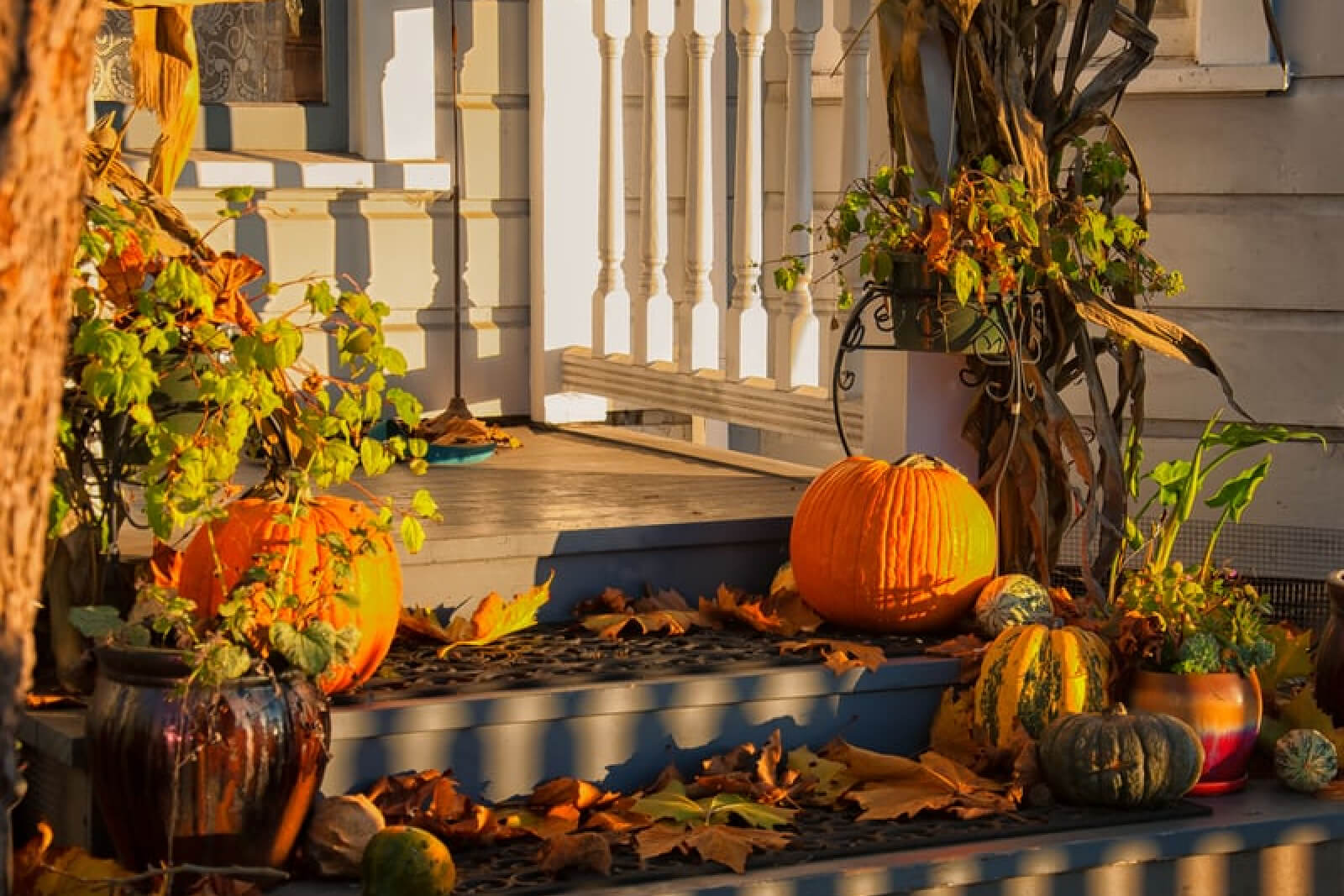 Porch Decor Ideas for Fall & Halloween