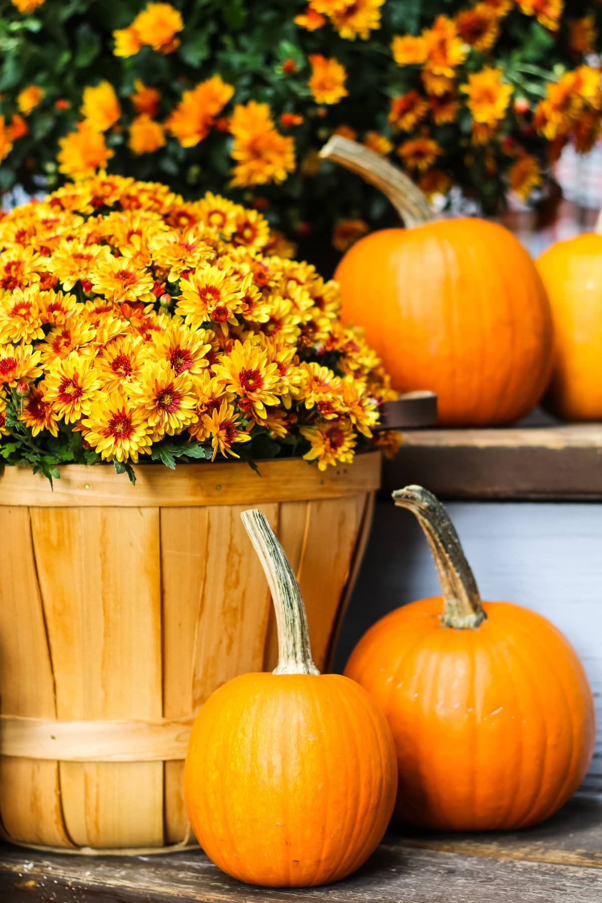 Fall Decorating Ideas Pretty Life In The Suburbs