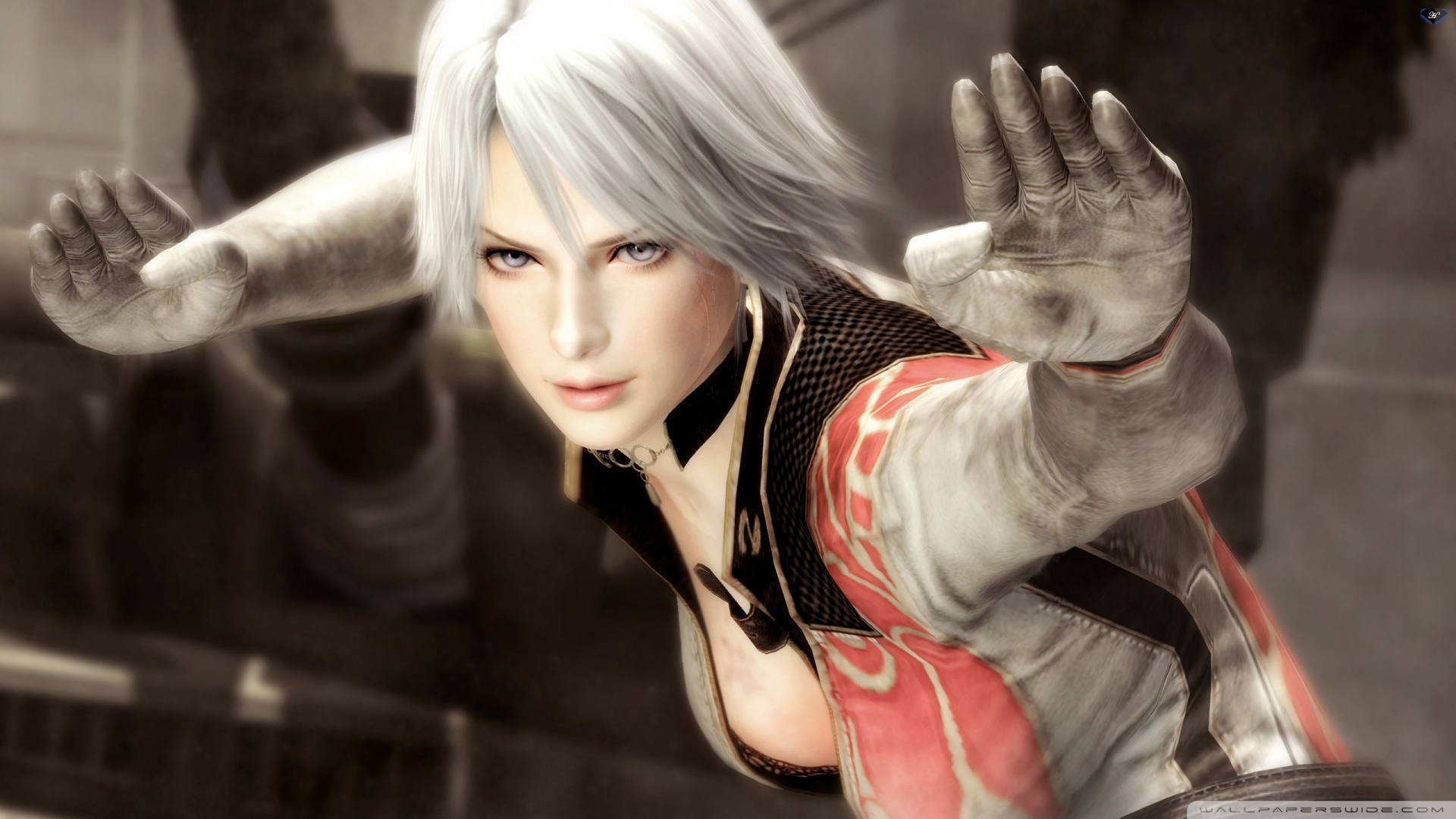 Dead or Alive 5 Ultra HD Desktop Background Wallpaper for 4K UHD TV, Multi Display, Dual Monitor, Tablet