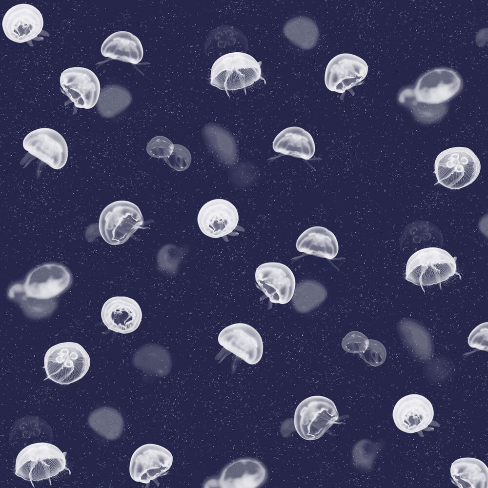 Jellyfish by Coordonne, Wallpaper Direct