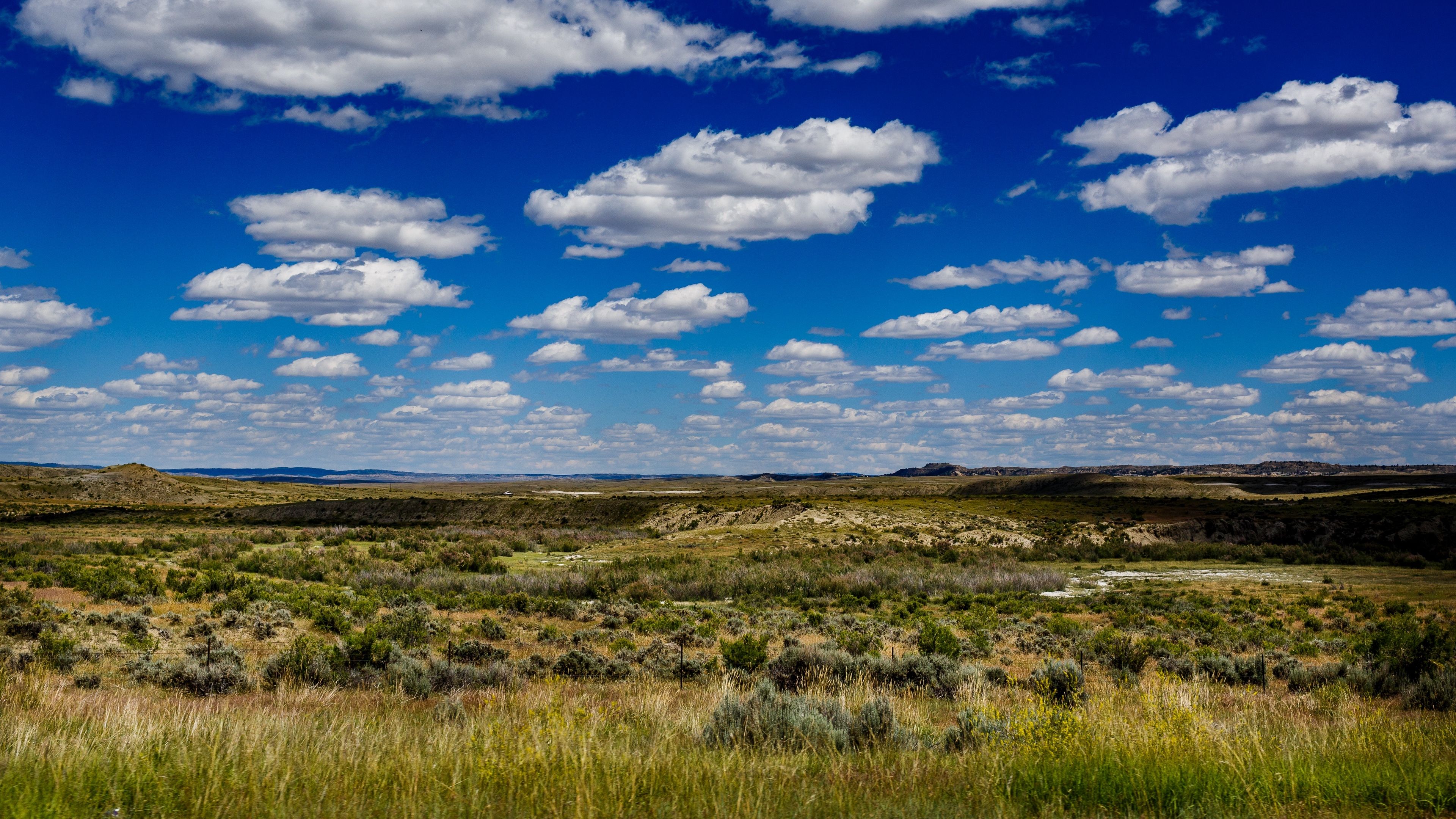 field, grass, horizon, clouds, summer 4k Horizon, Grass, Field. Clouds, Nature wallpaper, Grass