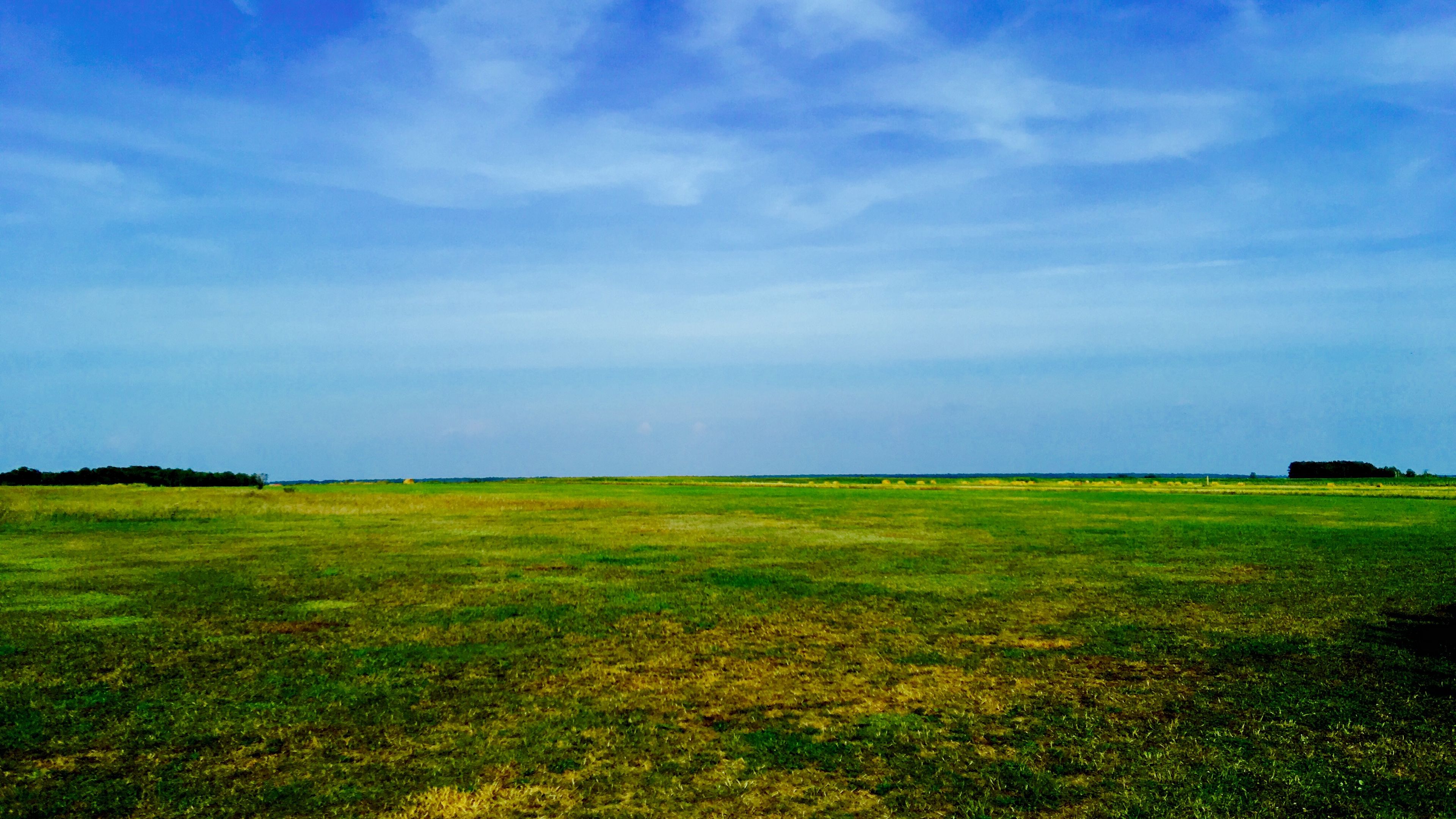 Download wallpaper 3840x2160 field, sky, grass, summer 4k uhd 16:9 HD background