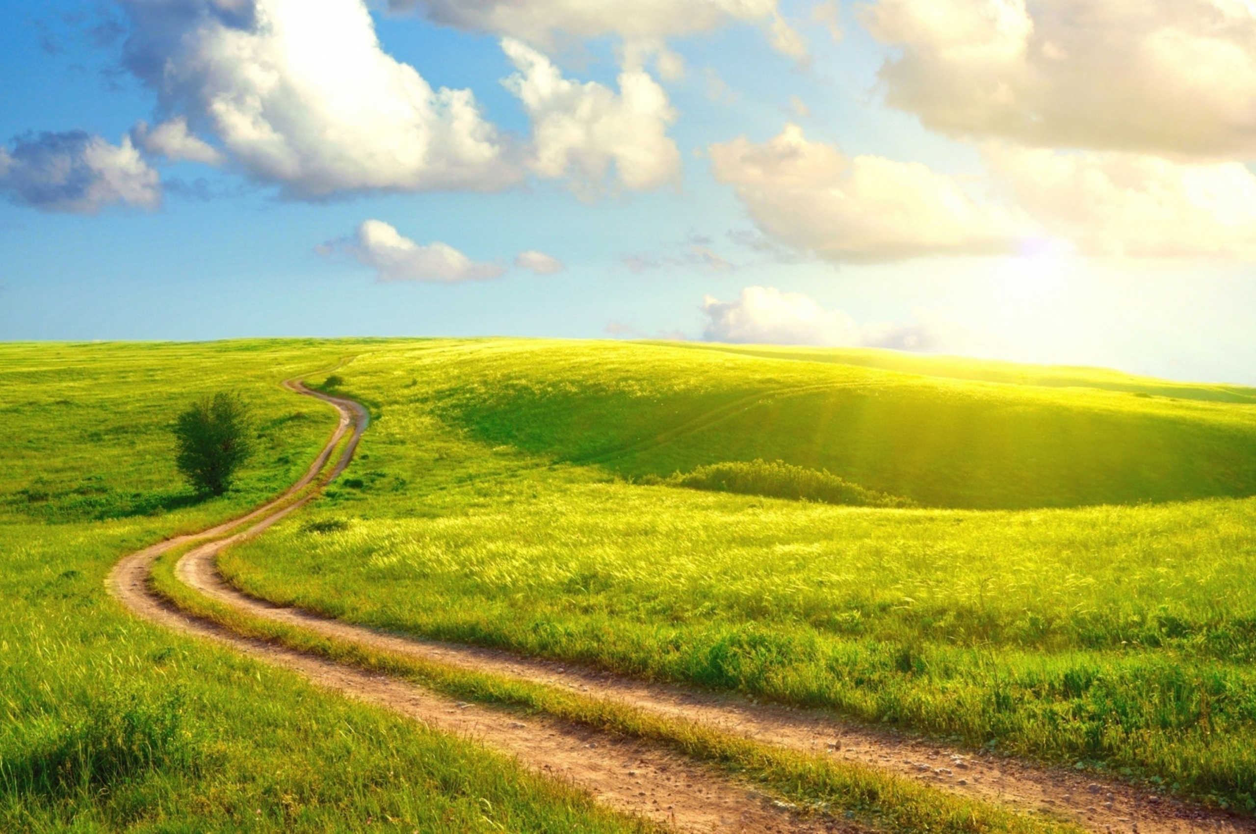 Free download Country Sun Summer Light Grass Wallpaper Background Ultra HD 4K [3840x2400] for your Desktop, Mobile & Tablet. Explore 4K Wallpaper Grass. Japan 4K Wallpaper, 4K Nature Wallpaper, 3840X2160 Wallpaper