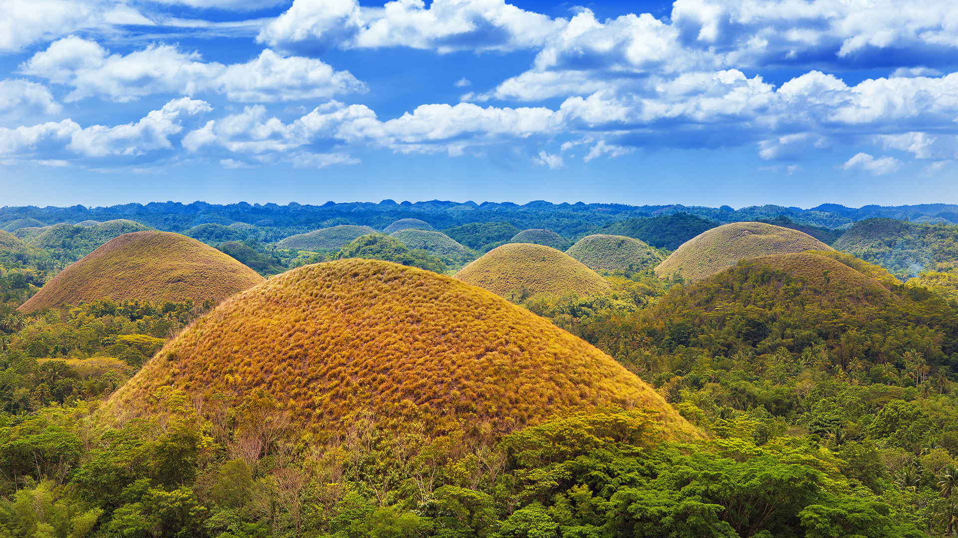 Chocolate Hills Wallpapers Wallpaper Cave
