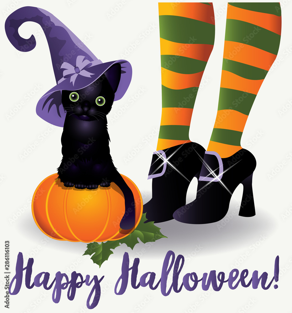 Happy Halloween wallpaper. Black cat and witch, vector illustration Stock Vector
