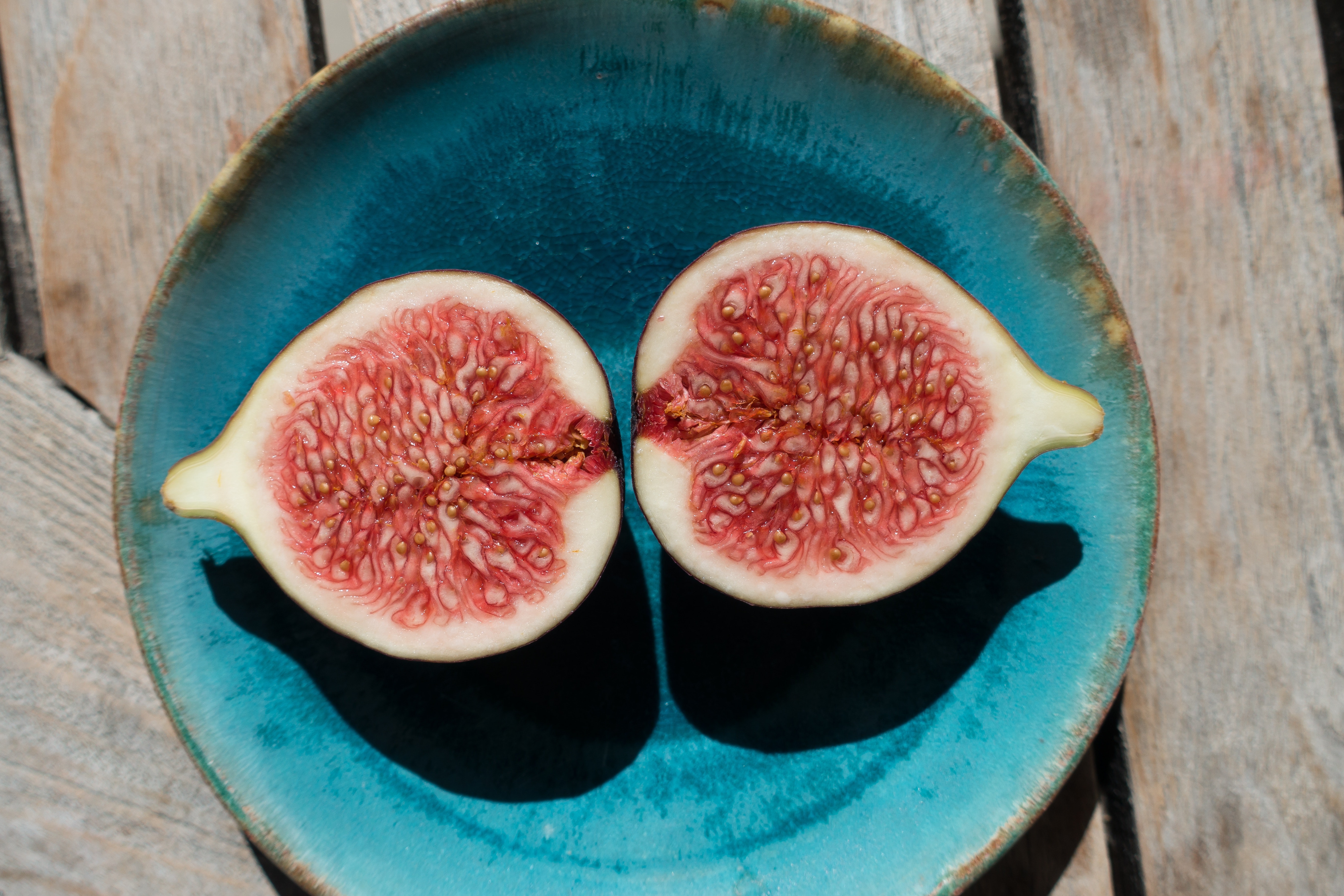 Fig Photo, Download Free Fig & HD Image