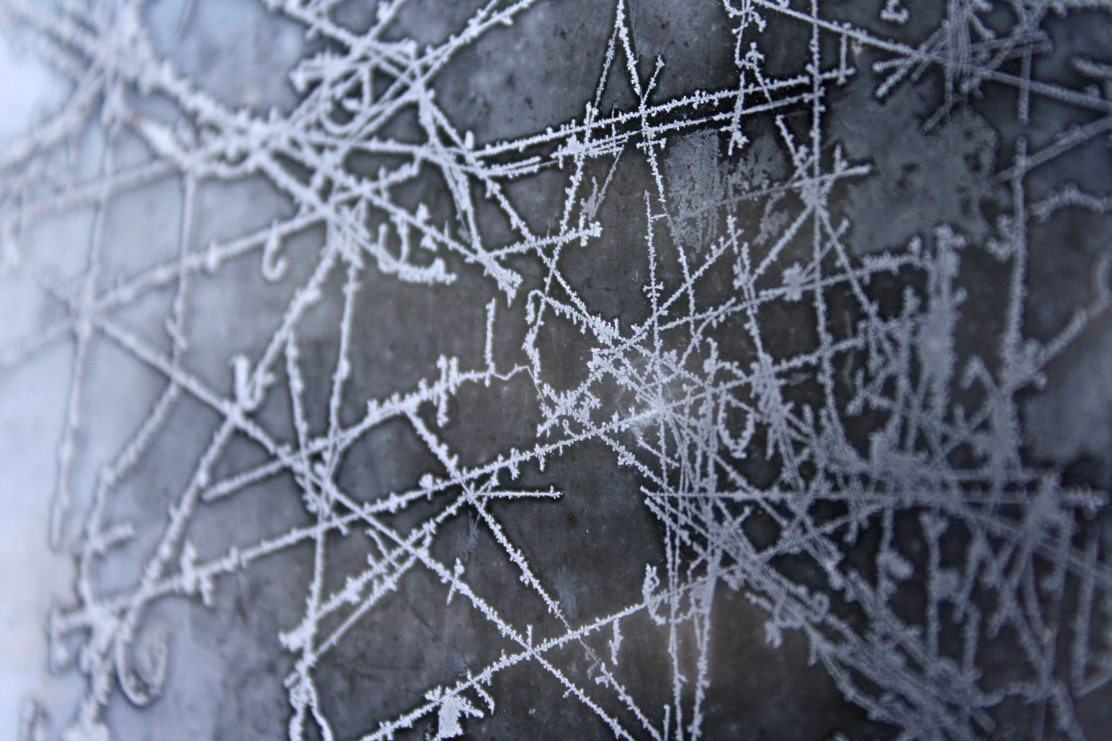 Ice Patterns on Frozen Window Texture Picture. Free Photograph. Photo Public Domain