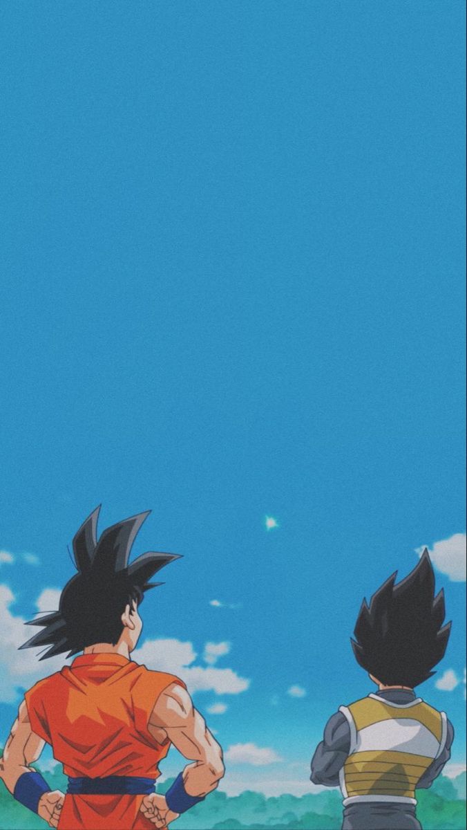 Goku and Vegeta iPhone Wallpaper