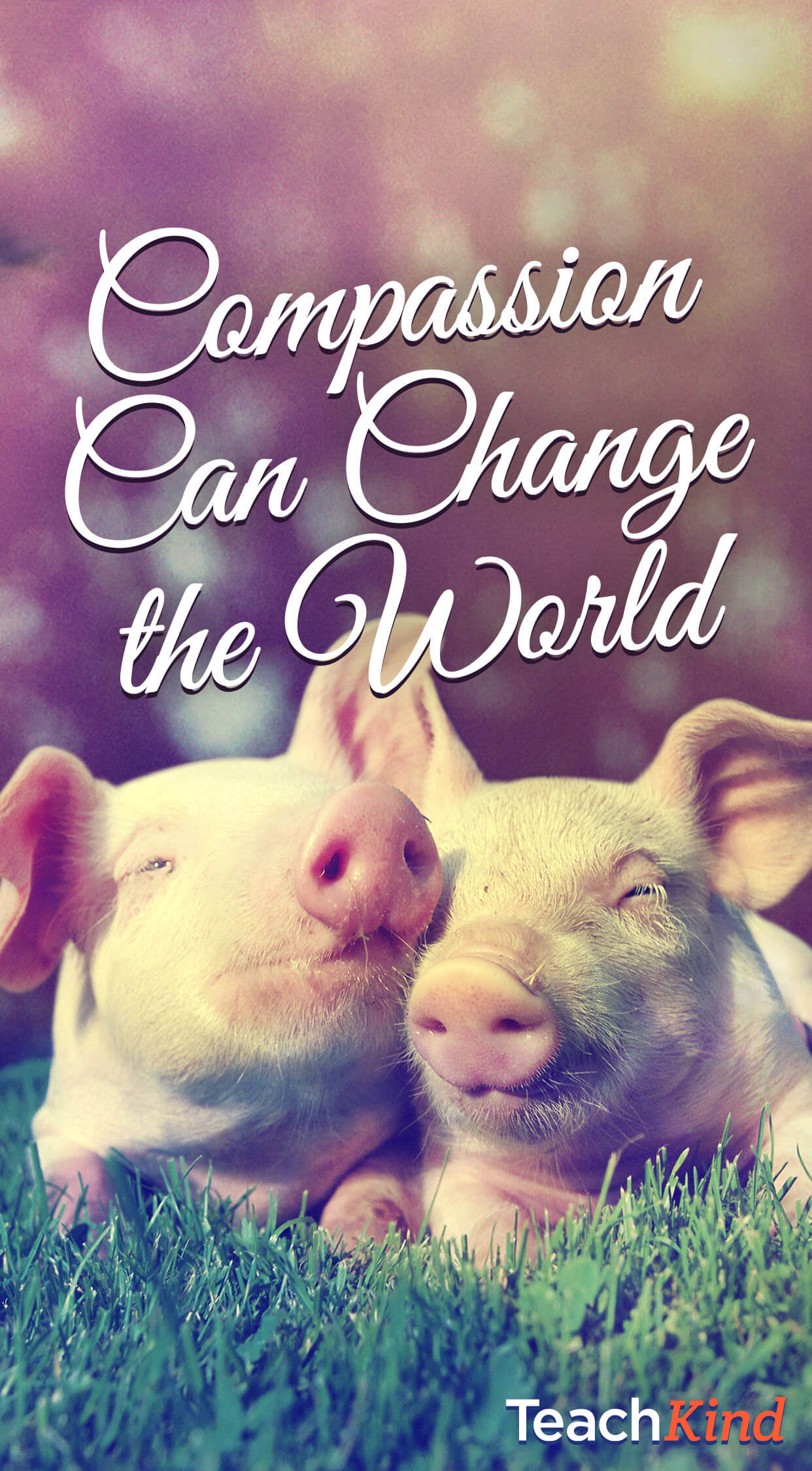 Free Animal Rights iPhone Wallpaper For Teachers