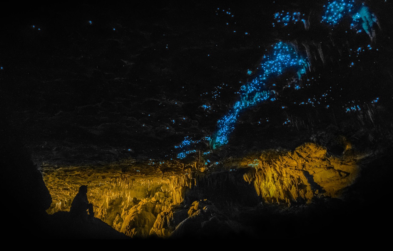 Wallpaper fireflies, New Zealand, cave, Waitomo Glowworm Caves image for desktop, section природа