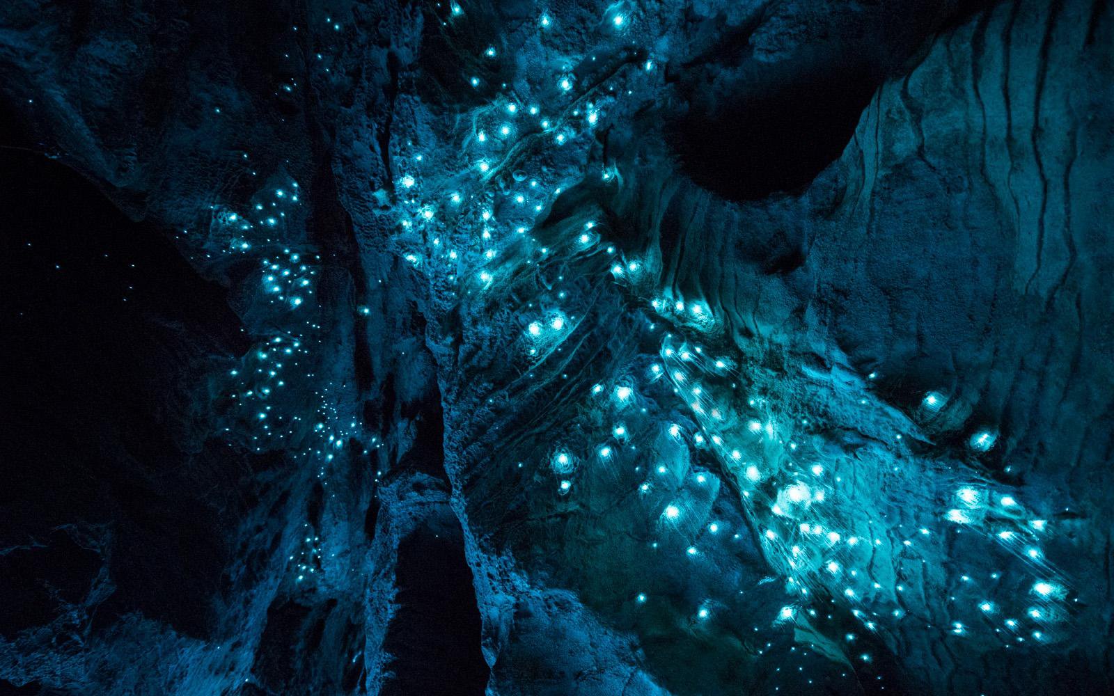 Captivating Long Exposure Photo Of New Zealand's Glowworm Caves. Travel. Smithsonian Magazine