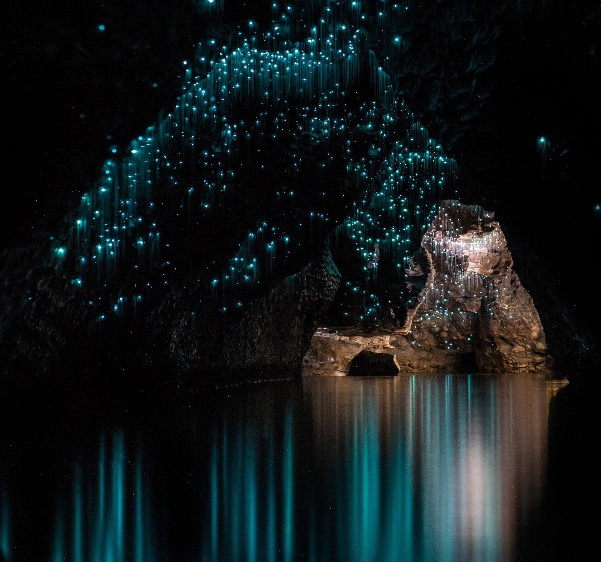 Waitomo Glow Worm Caves. Glow worm cave, Glowworm caves new zealand, Waitomo caves