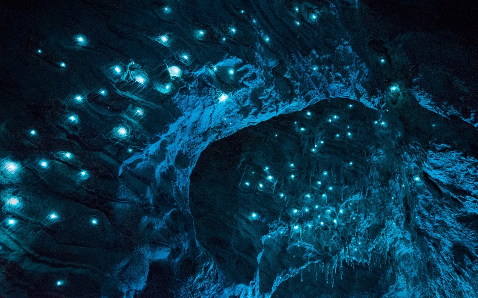 Carnivorous Glowworms Turn Caves Into Stunning Starscapes