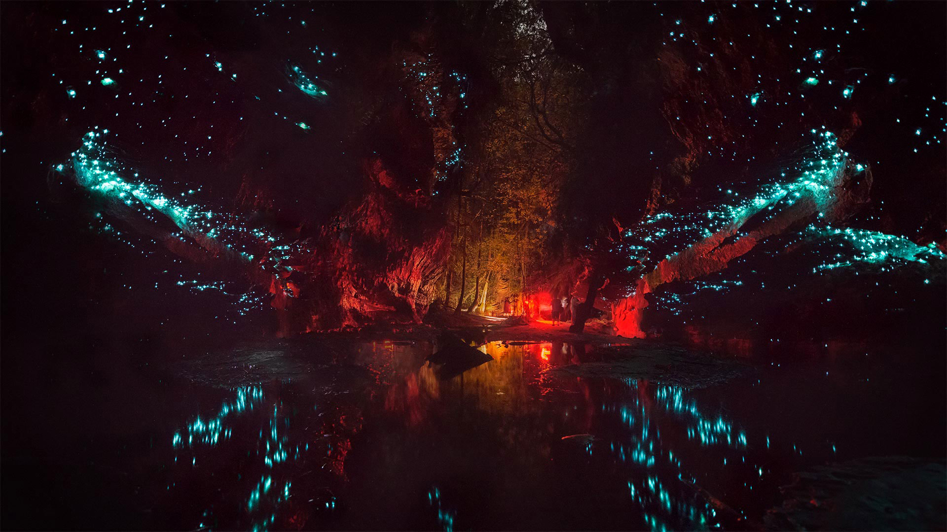 Bing HD Wallpaper Dec 9, 2021: Glowworm caves in Australia Wallpaper Gallery