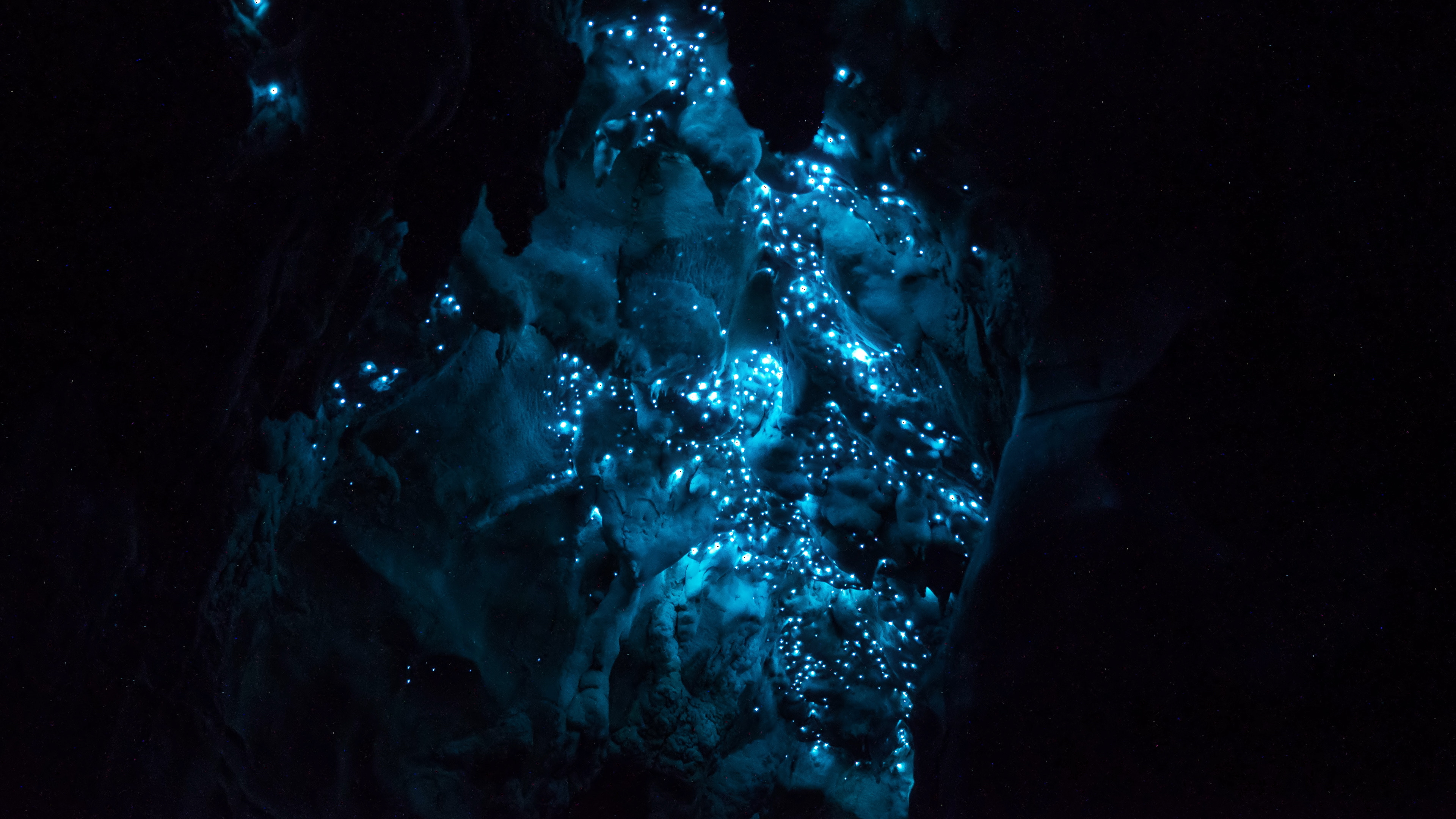 Glow Worm Cave High Definition Wallpaper