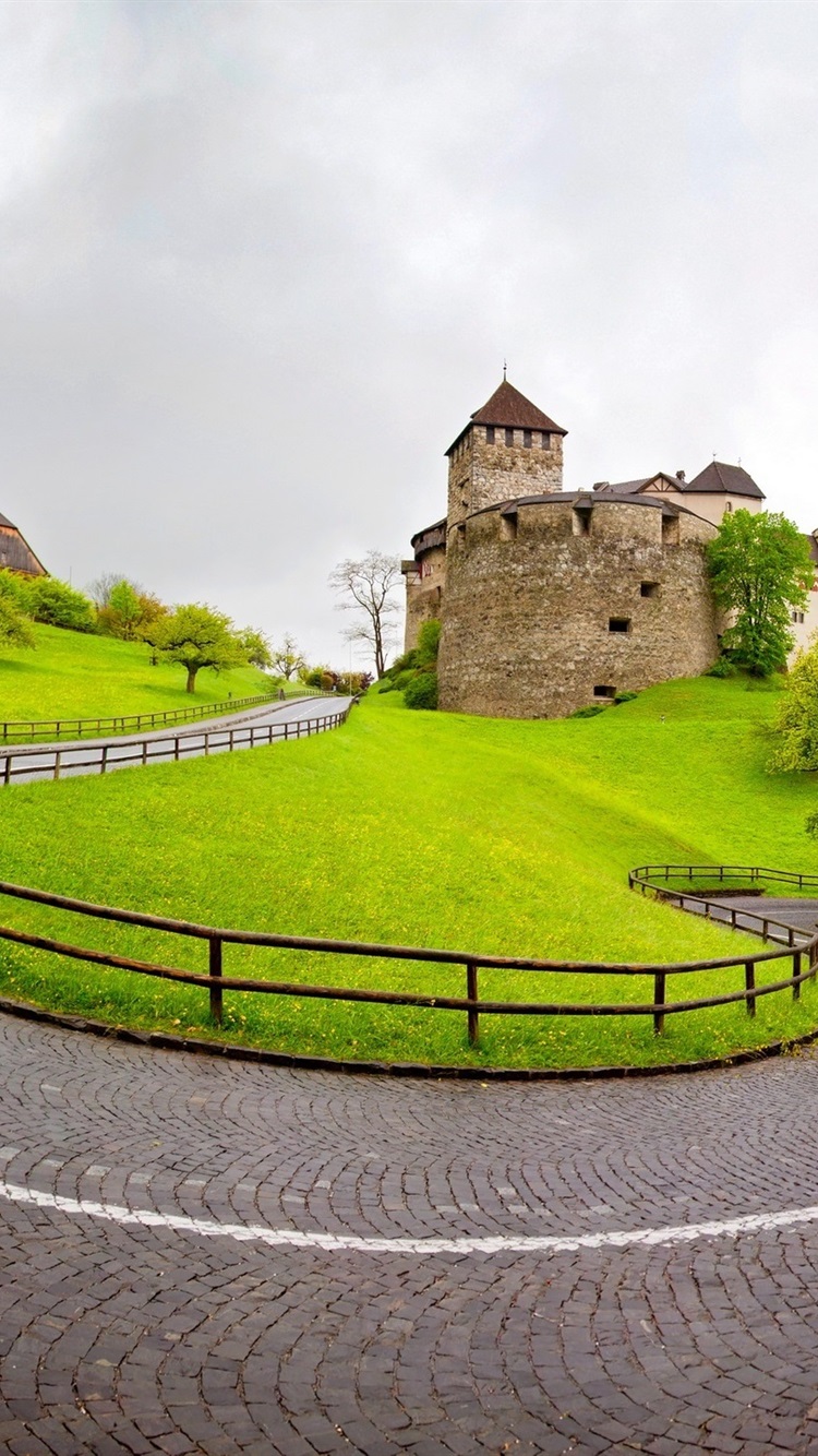 Vaduz, Liechtenstein, Road, Grass, Trees, Houses 750x1334 IPhone 8 7 6 6S Wallpaper, Background, Picture, Image