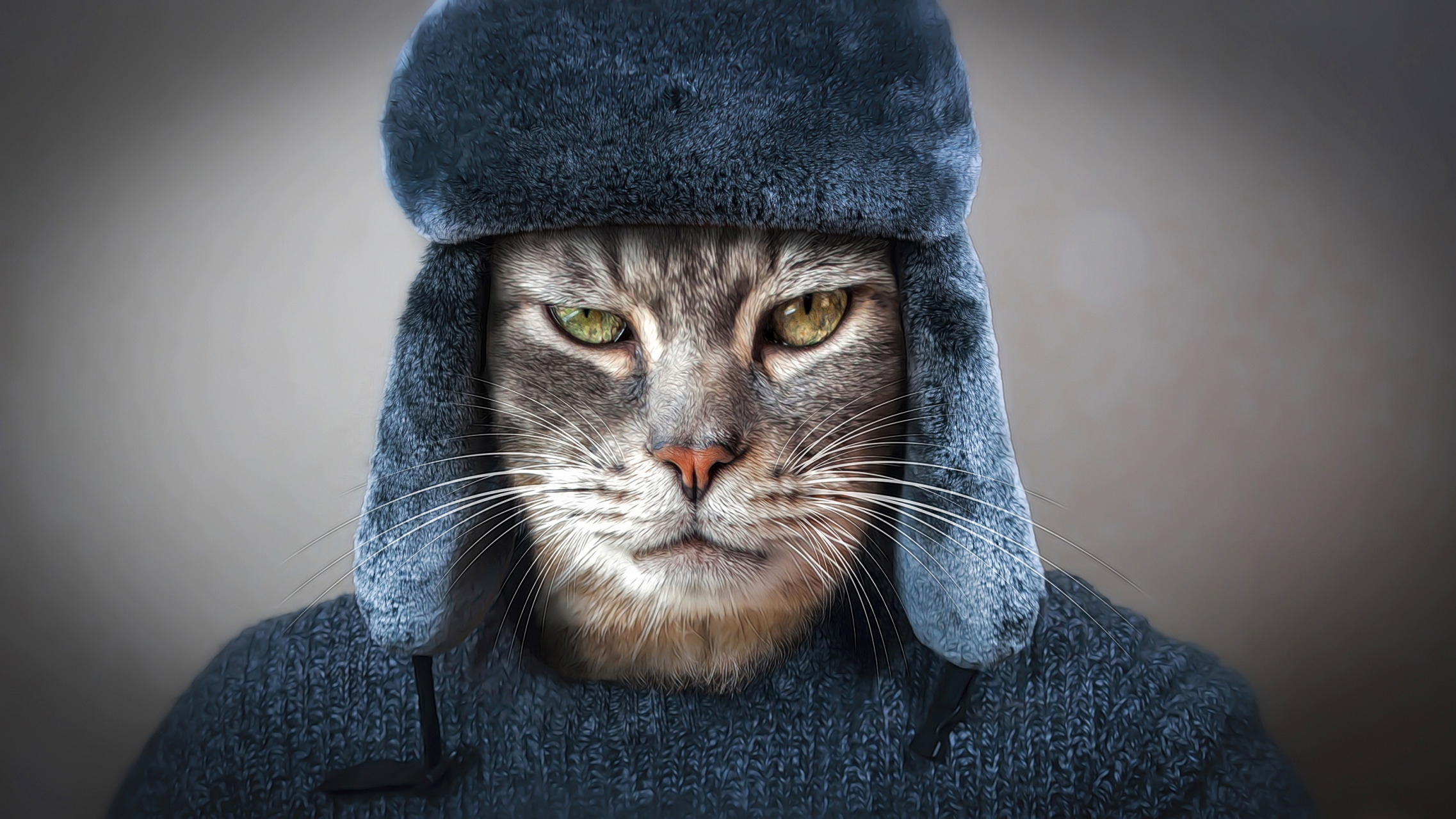Cat with Man's Hat and Sweater On