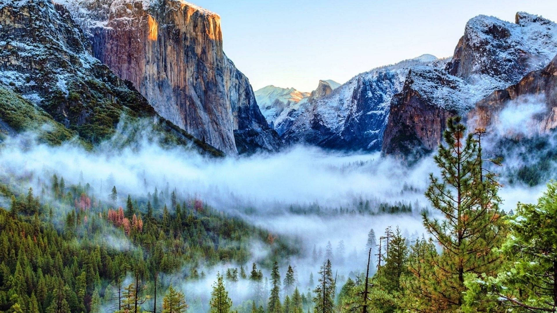 Download Foggy Yosemite National Park Wallpaper
