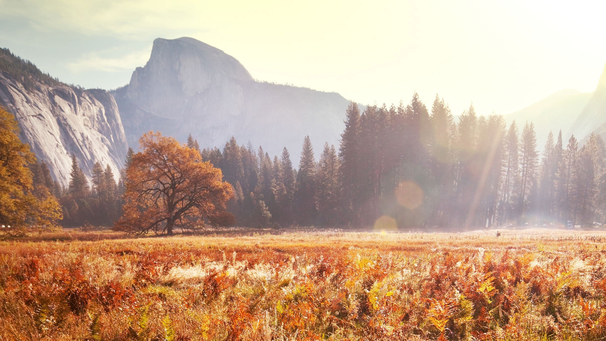 Autumn in Yosemite National Park, in the California Sierras