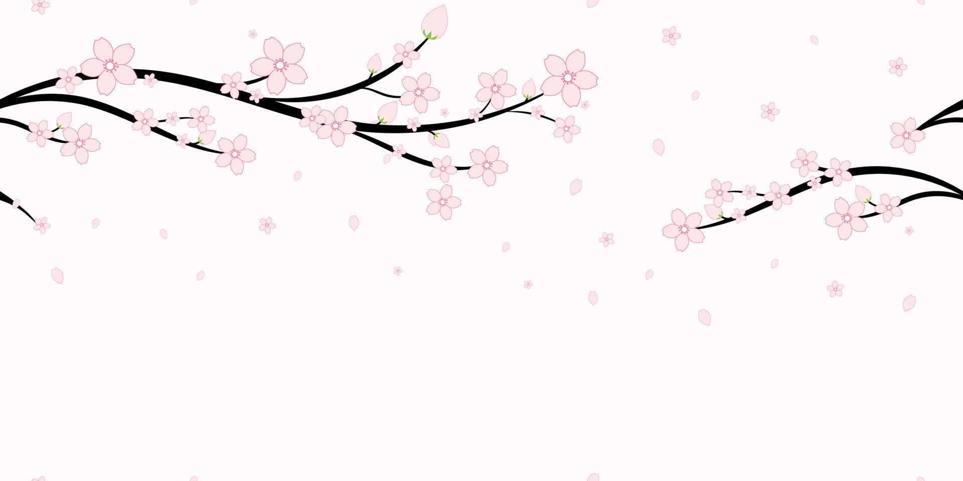 White Sakura Wallpapers - Wallpaper Cave